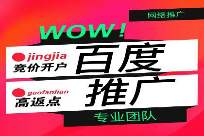 揭秘SEM搜索引擎优化成功案例，助您优化策略